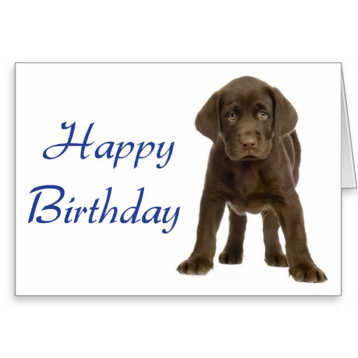 Best ideas about Dog Birthday Quotes
. Save or Pin Happy Birthday Quotes From Dogs QuotesGram Now.