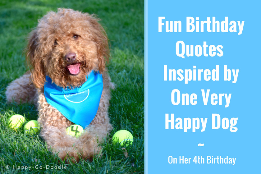 Best ideas about Dog Birthday Quotes
. Save or Pin 7 Fun Birthday Quotes From a Very Happy Birthday Dog Now.