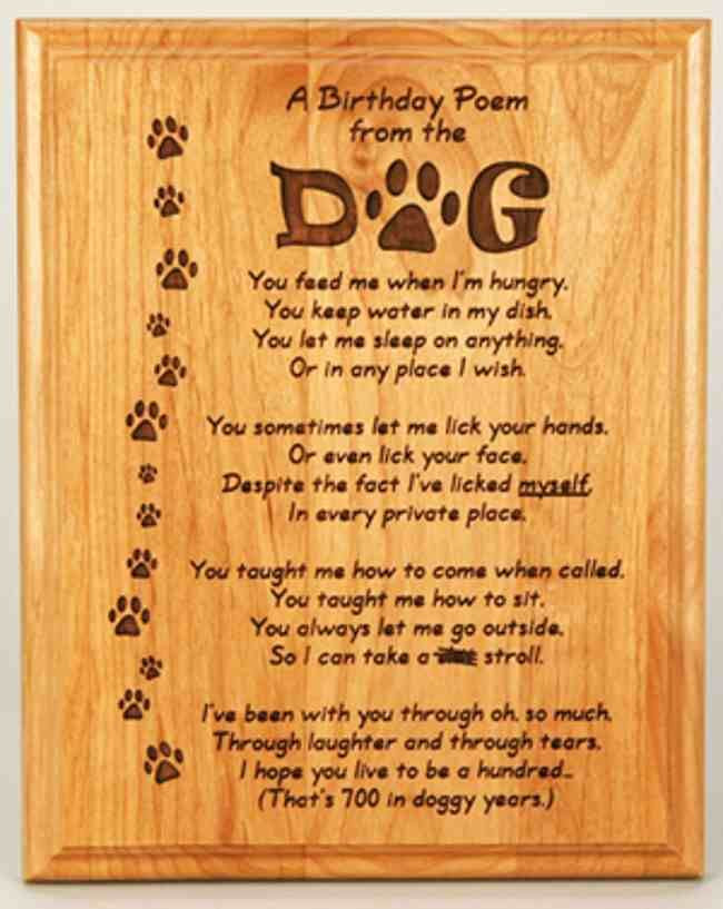 Best ideas about Dog Birthday Quotes
. Save or Pin Happy Birthday Quotes for Dogs Now.