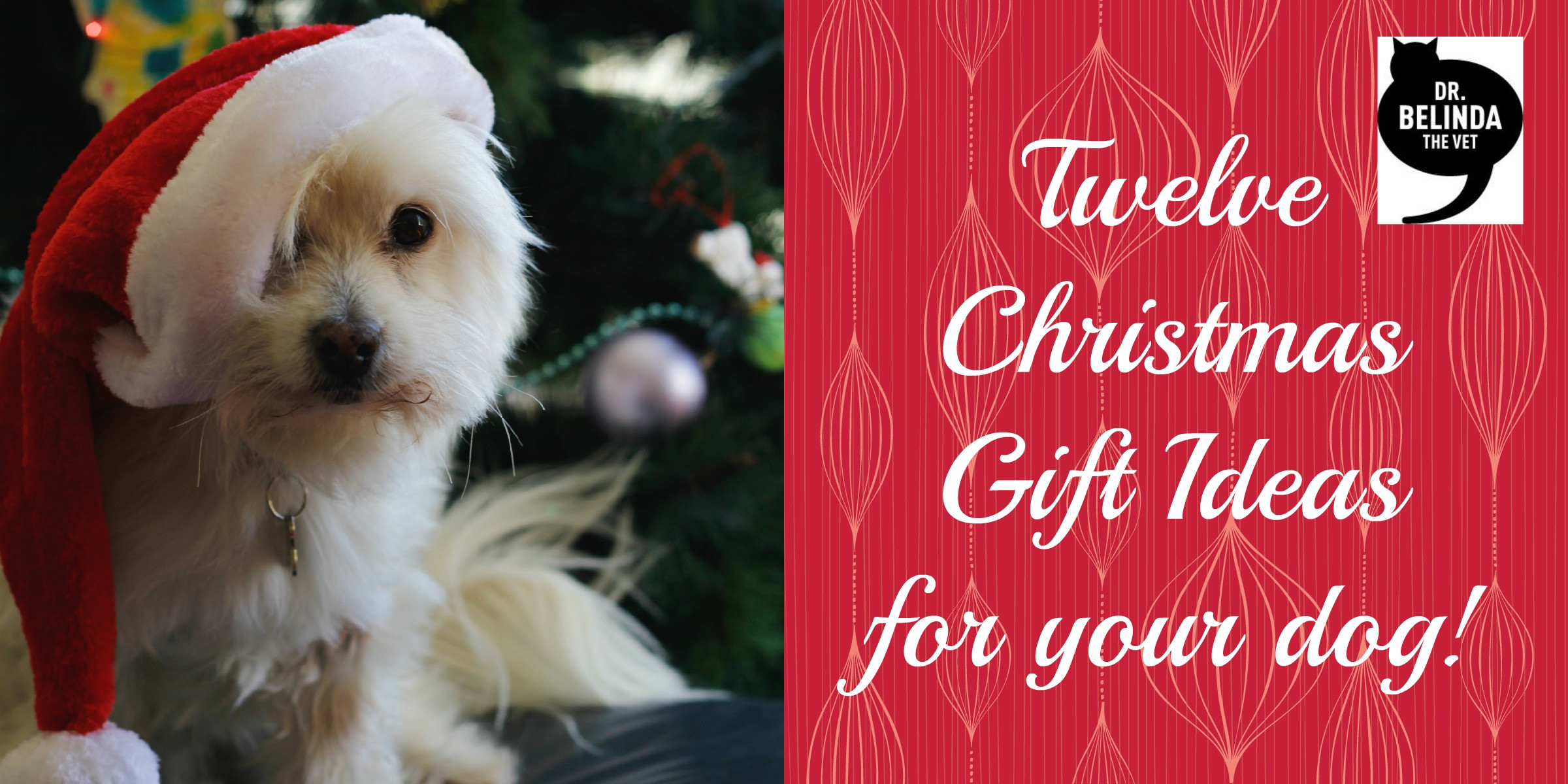 Best ideas about Dog Christmas Gift Ideas
. Save or Pin 12 Christmas t ideas for your dog Dr Belinda The Vet Now.