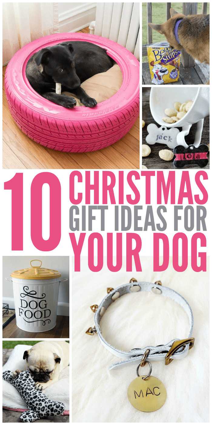 Best ideas about Dog Christmas Gift Ideas
. Save or Pin 10 Christmas Gift Ideas for Your Dog Glue Sticks and Now.