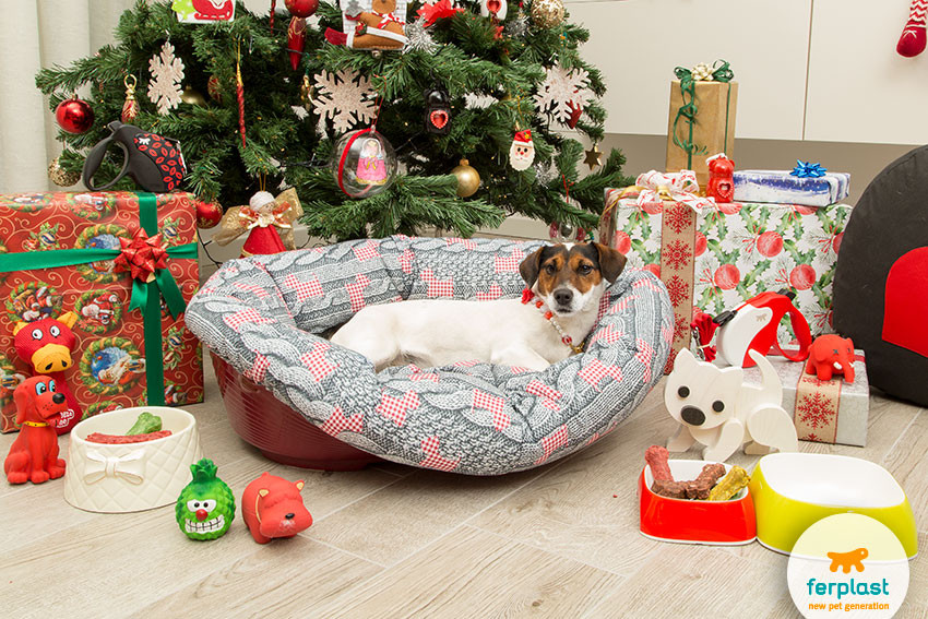 Best ideas about Dog Christmas Gift Ideas
. Save or Pin Great ideas for Christmas ts for the dog LOVE FERPLAST Now.