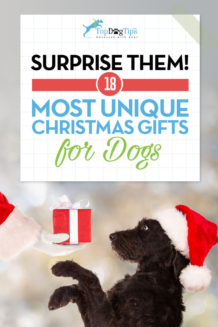 Best ideas about Dog Christmas Gift Ideas
. Save or Pin 17 Best Christmas Gift Ideas for Dogs That ll Surprise You Now.