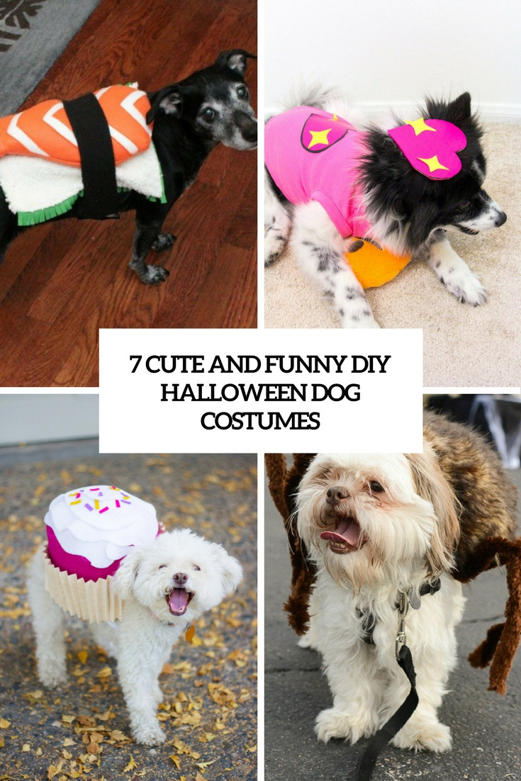 Best ideas about Dog Costumes DIY
. Save or Pin DIY Archives Styleoholic Now.