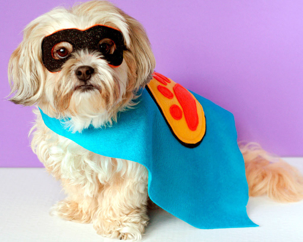 Best ideas about Dog Costumes DIY
. Save or Pin Handmade Halloween Costumes Now.