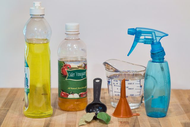 Best ideas about Dog Deterrent Spray DIY
. Save or Pin Homemade Fly Repellent for Dogs Now.