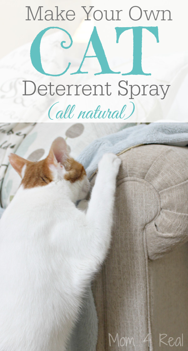 Best ideas about Dog Deterrent Spray DIY
. Save or Pin DIY Dog Deterrent Spray Helps Stop Indoor Accidents and Now.
