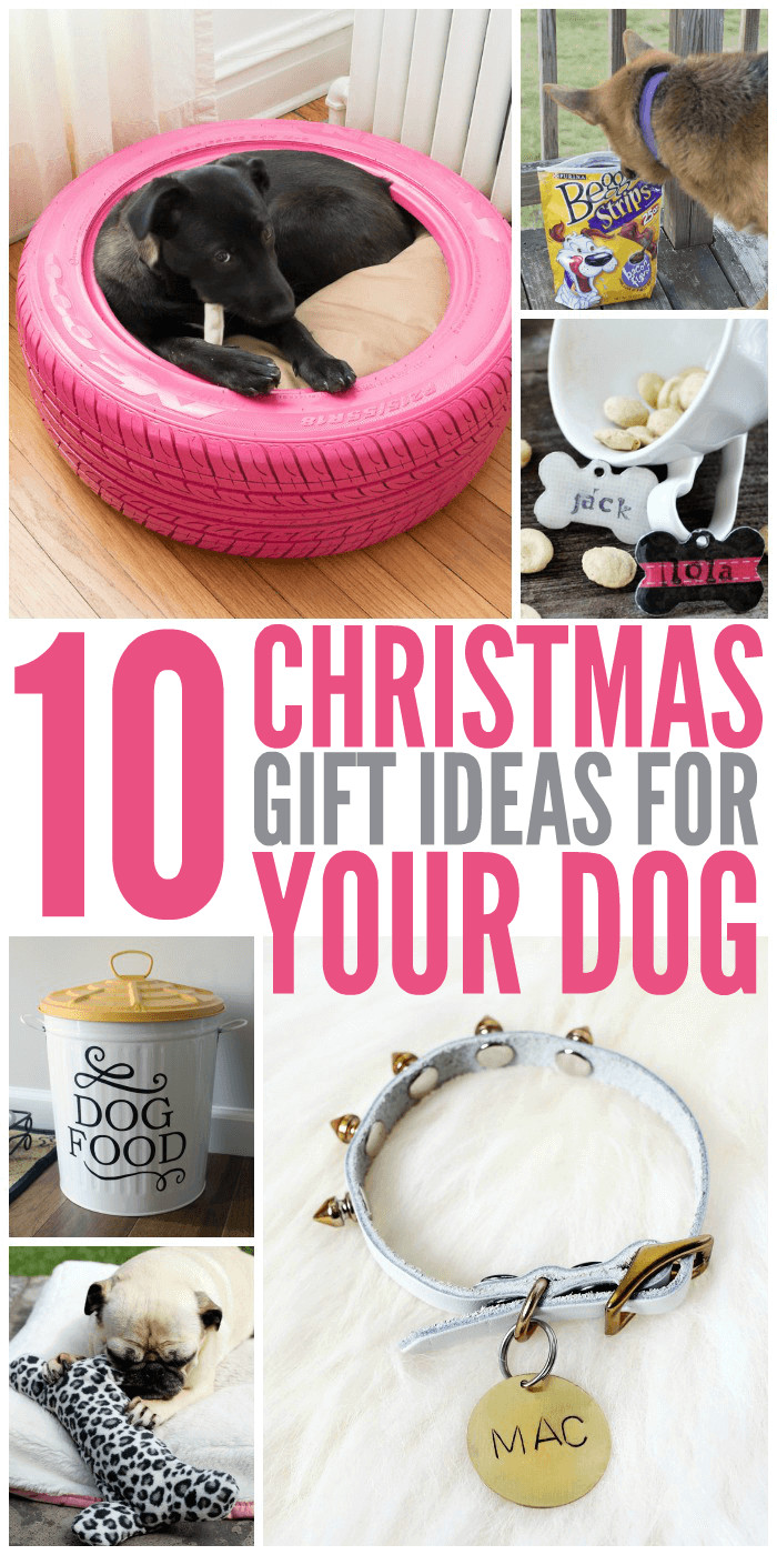 Best ideas about Dog Gift Ideas
. Save or Pin 10 Christmas Gift Ideas for Your Dog Glue Sticks and Now.
