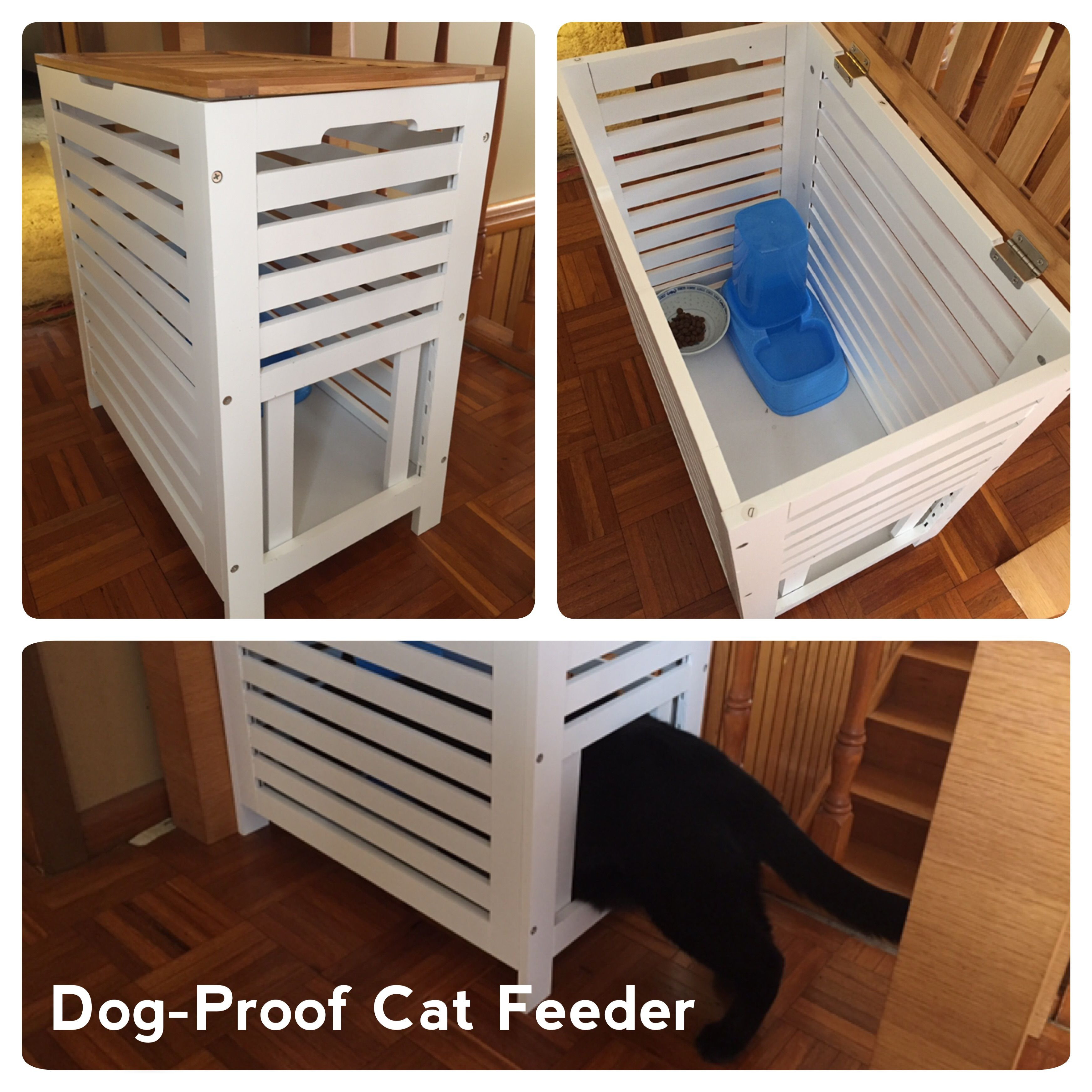 Best ideas about Dog Proof Cat Feeder DIY
. Save or Pin Dog Proof Cat Feeder Kmart Hack Remove 4 horizontal slats Now.