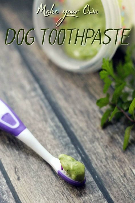 Best ideas about Dog Toothpaste DIY
. Save or Pin 25 best ideas about Dog toothpaste on Pinterest Now.