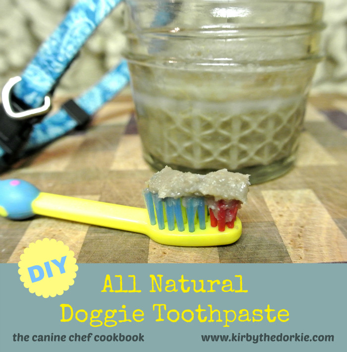 Best ideas about Dog Toothpaste DIY
. Save or Pin DIY Doggie Toothpaste — The Canine Chef Cookbook Now.