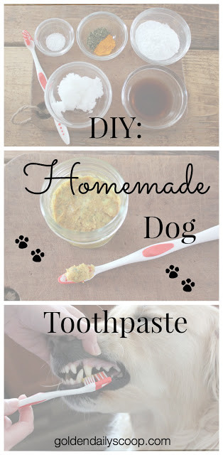 Best ideas about Dog Toothpaste DIY
. Save or Pin DIY Homemade Dog Toothpaste Now.