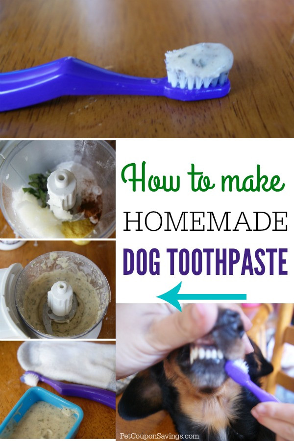 Best ideas about Dog Toothpaste DIY
. Save or Pin Homemade Dog Toothpaste Pet Coupon Savings Now.