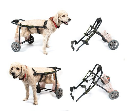 Best ideas about Dog Wheelchair DIY
. Save or Pin DIY Dog Wheelchair How to Make a Wheelchair for Dogs By Now.