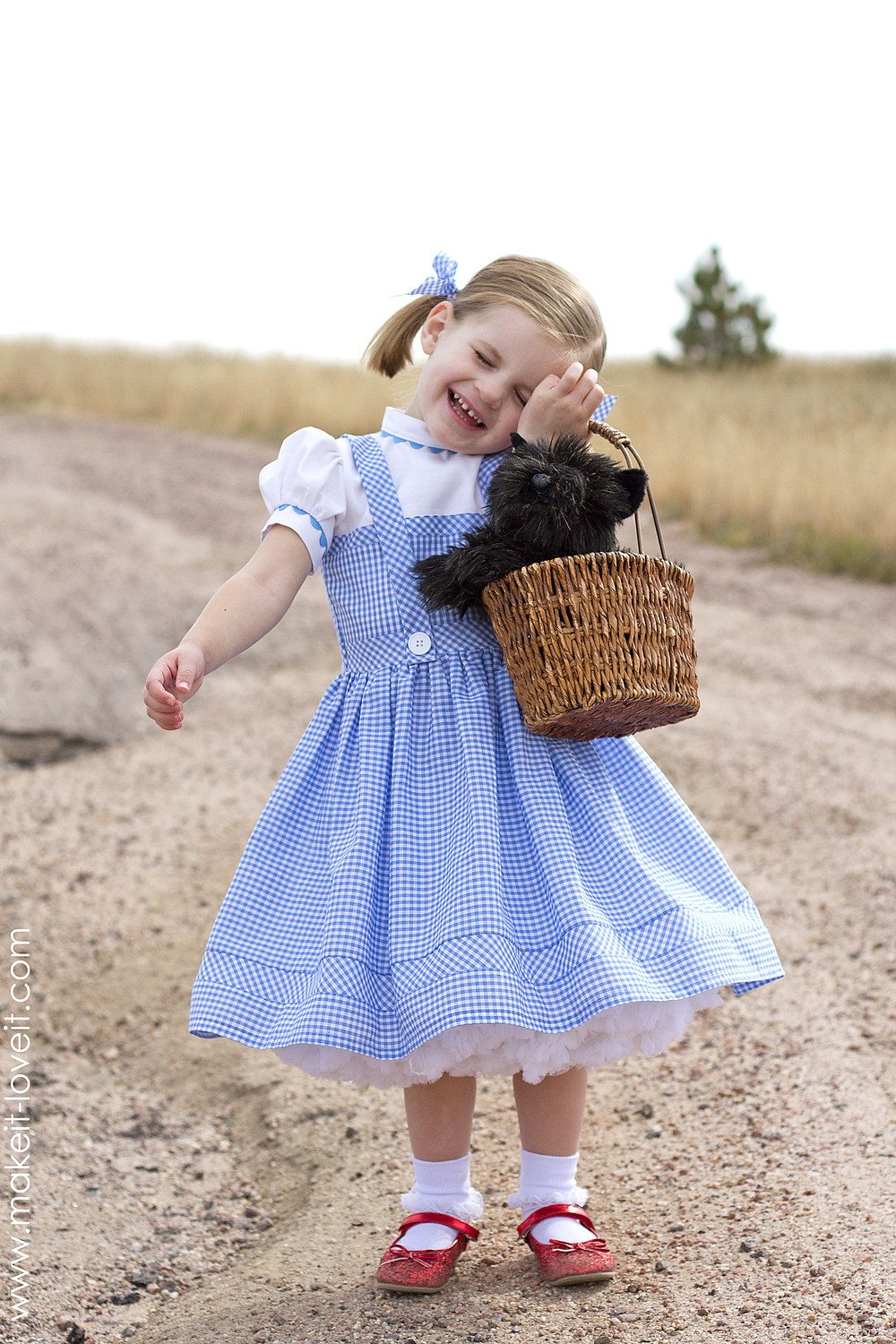 Best ideas about Dorothy Wizard Of Oz Costume DIY
. Save or Pin Halloween 2014 Dorothy from "Wizard of Oz" Now.