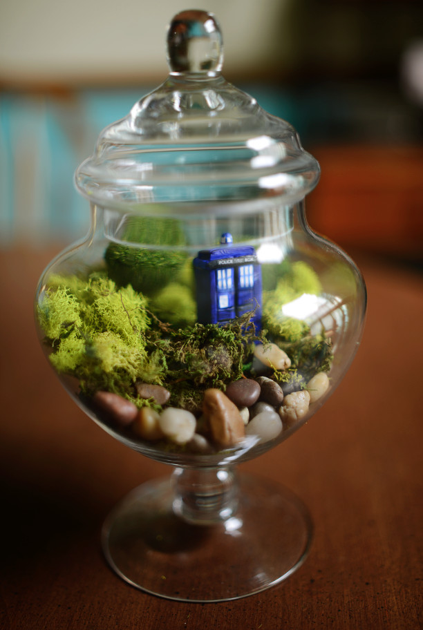 Best ideas about Dr.Who Gift Ideas
. Save or Pin Dr Who Day 8 fun Tardis t ideas Now.