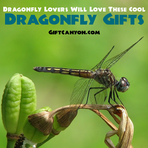 Best ideas about Dragonfly Gift Ideas For The Dragonfly Lover
. Save or Pin Dragonfly Lovers Will Love These Cool Dragonfly Gift Ideas Now.