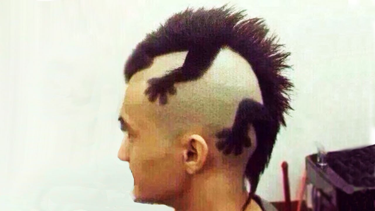 Best ideas about Dumb Haircuts
. Save or Pin CRAZY ANIMAL HAIRCUTS Now.