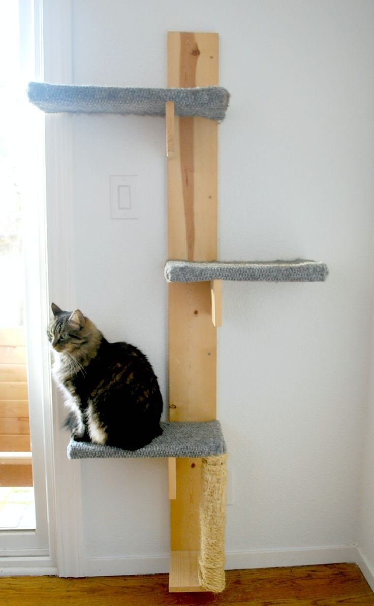 Best ideas about Easy DIY Cat Tree
. Save or Pin 17 Best ideas about Diy Cat Tree on Pinterest Now.