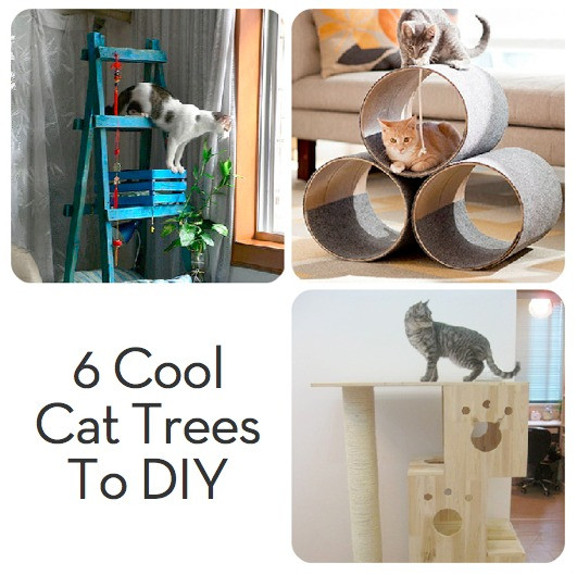 Best ideas about Easy DIY Cat Tree
. Save or Pin Roundup 6 Very Cool and DIYable Cat Trees Curbly Now.