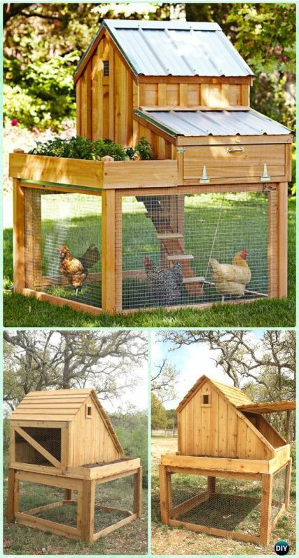 Best ideas about Easy DIY Chicken Coop Plans
. Save or Pin 61 DIY Chicken Coop Plans That Are Easy to Build Free Now.