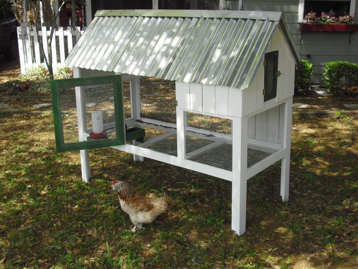 Best ideas about Easy DIY Chicken Coop Plans
. Save or Pin "Cute Coop Deluxe" Easy Build Chicken Coop DIY Plans with Now.