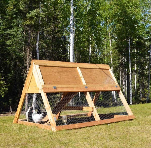 Best ideas about Easy DIY Chicken Coop Plans
. Save or Pin 34 DIY Chicken Coop Plans that are Easy to Build Free Now.