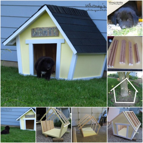 Best ideas about Easy DIY Doghouse
. Save or Pin 15 Brilliant DIY Dog Houses With Free Plans For Your Furry Now.