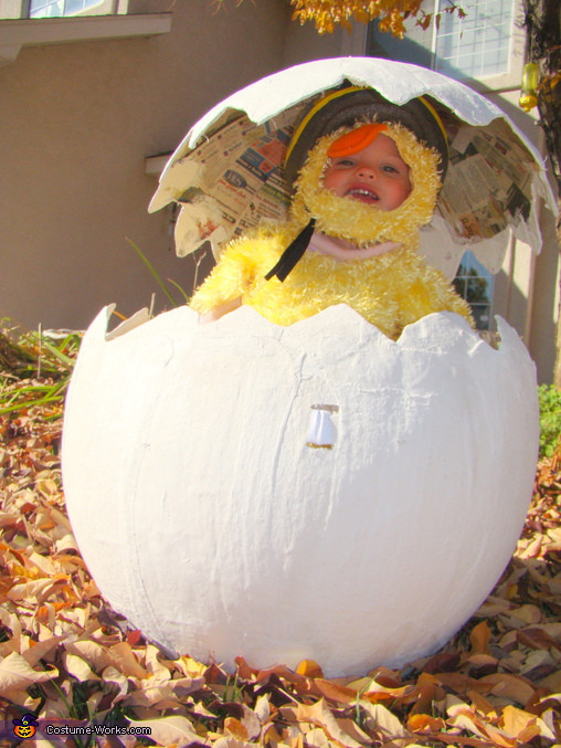 Best ideas about Egg Costume DIY
. Save or Pin The Family Farm Creative Costumes for Families 2 9 Now.