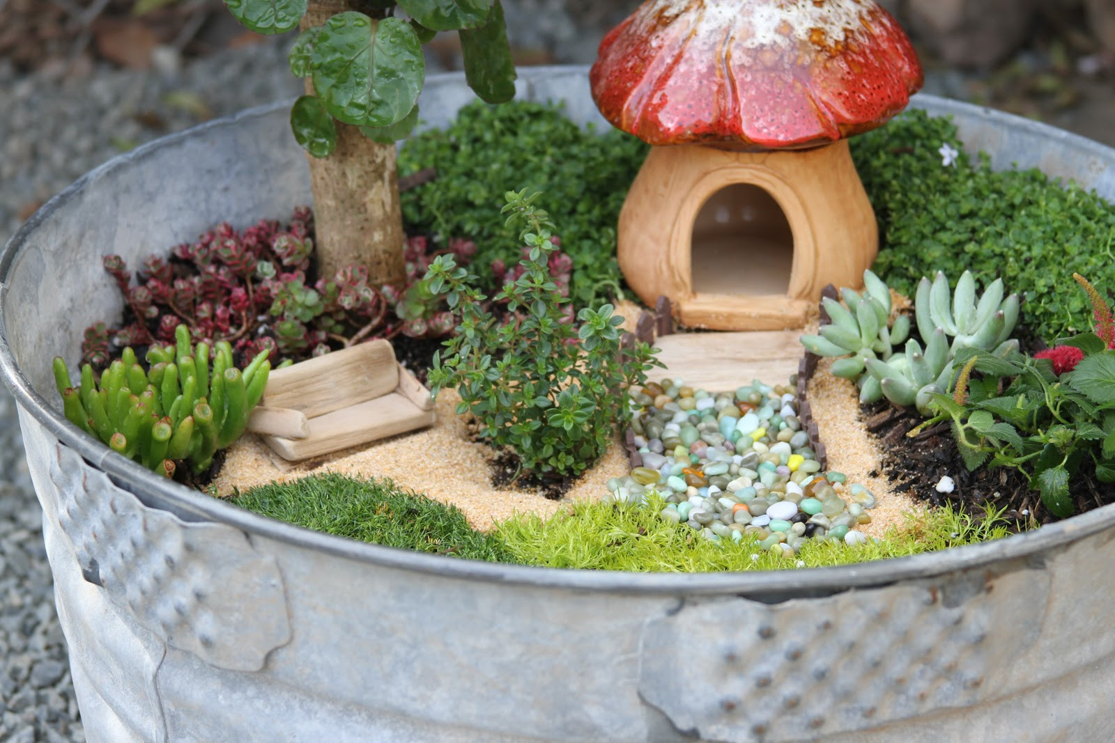 Best ideas about Fairy Garden DIY
. Save or Pin Ai s Hideaway DIY Fairy Garden Now.