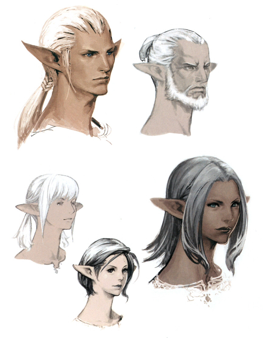 Best ideas about Fantasy Hairstyles Male
. Save or Pin Elezen Final Fantasy Wiki Now.
