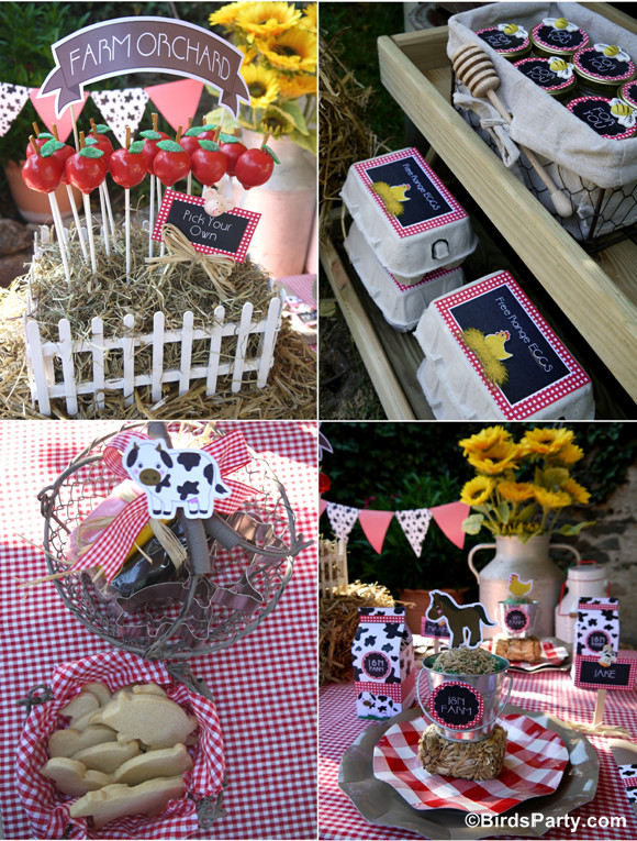 Best ideas about Farm Birthday Party Supplies
. Save or Pin My Kids Joint Barnyard Farm Birthday Party Party Ideas Now.