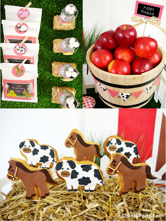 Best ideas about Farm Birthday Party Supplies
. Save or Pin My Kids Joint Barnyard Farm Birthday Party Party Ideas Now.