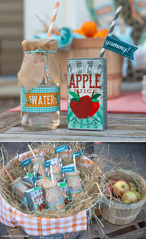 Best ideas about Farm Birthday Party Supplies
. Save or Pin DIY Kid s Farm Party Food & Drinks Now.