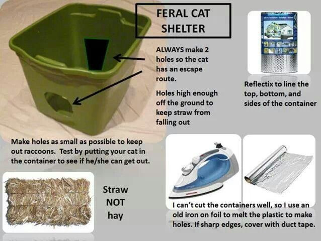 Best ideas about Feral Cat Shelter DIY
. Save or Pin 1000 images about DIY Feral Cat Shelters & Feeding Now.