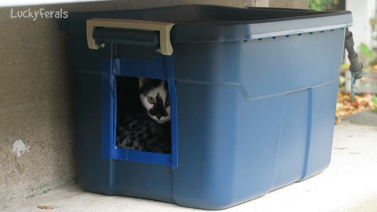 Best ideas about Feral Cat Shelter DIY
. Save or Pin Making Another DIY Feral Cat Shelter For Outdoor Cats Now.