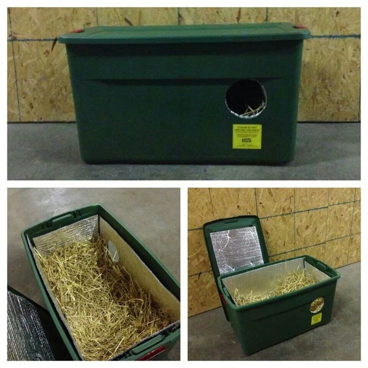 Best ideas about Feral Cat Shelter DIY
. Save or Pin Easy DIY Cat Shelter Feral Cats Pinterest Now.