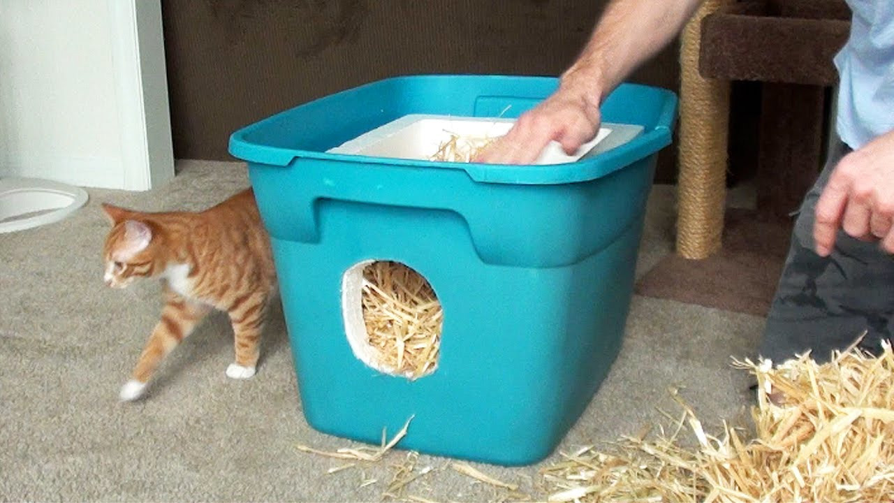 Best ideas about Feral Cat Shelter DIY
. Save or Pin How to Build a Feral Cat Shelter PawBuzz Now.