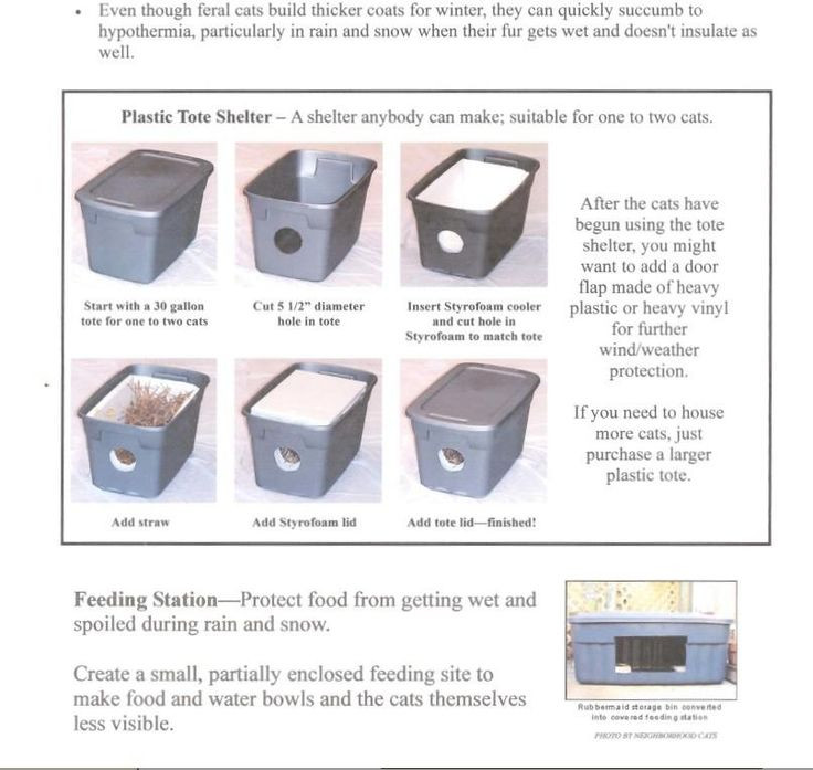 Best ideas about Feral Cat Shelter DIY
. Save or Pin Best 25 Outdoor cat shelter ideas on Pinterest Now.