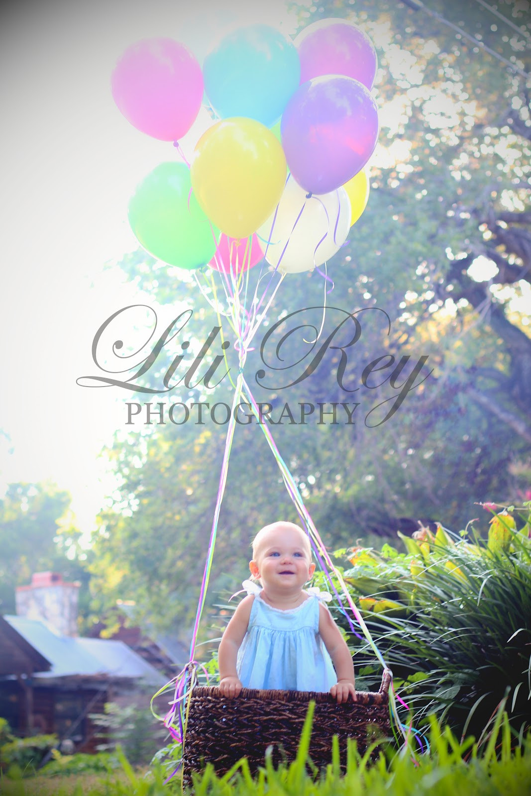 Best ideas about First Birthday Photo Shoot Ideas
. Save or Pin First Birthday Shoot Now.
