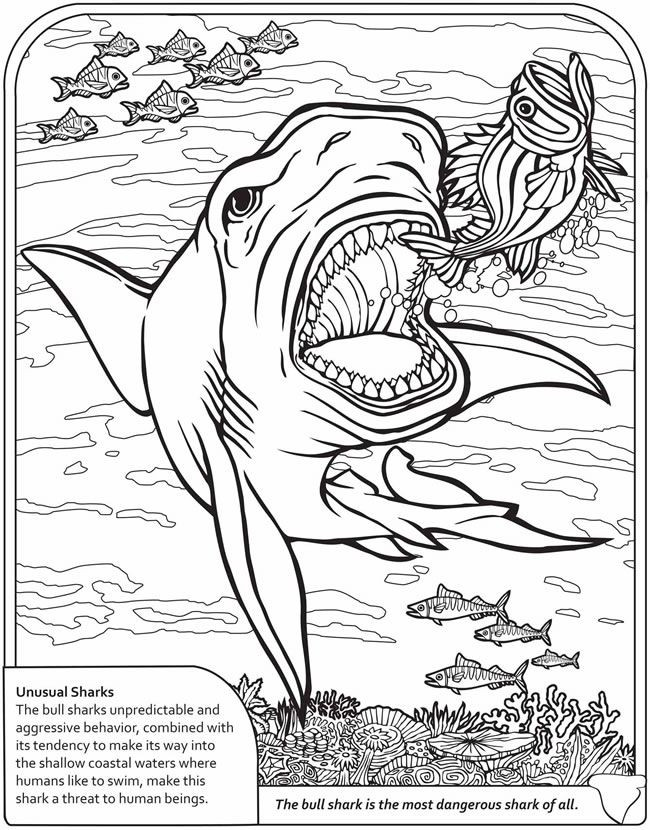 Best ideas about Fish Donisaur Coloring Sheets For Boys
. Save or Pin dinosaur and sharks coloring pages Now.