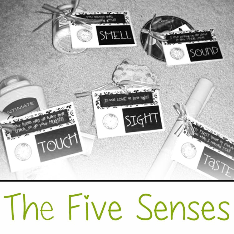 Best ideas about Five Senses Gift Ideas
. Save or Pin The FIVE Senses Gift es with Free Printable Tags Now.