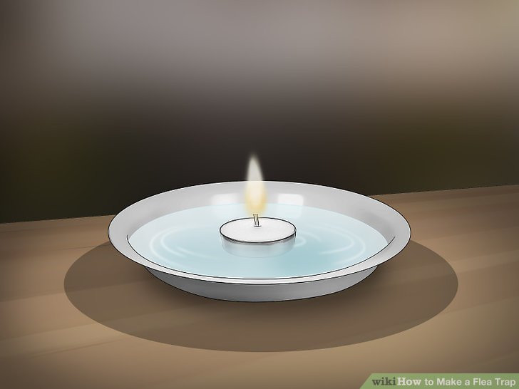 Best ideas about Flea Trap DIY
. Save or Pin The Best Way to Make a Flea Trap wikiHow Now.