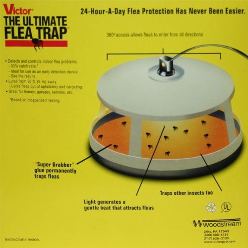 Best ideas about Flea Trap DIY
. Save or Pin Victor M230 Ultimate Flea Trap Free Shipping New Now.