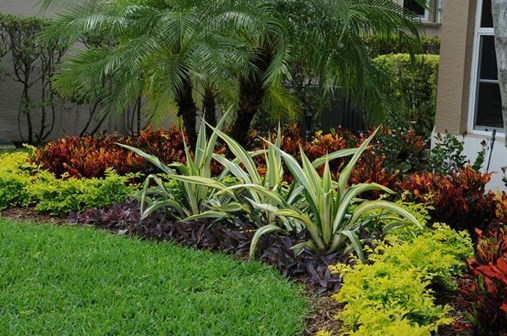Best ideas about Florida Garden Ideas
. Save or Pin Tips for Landscaping and Gardening in South Florida Now.