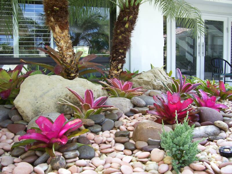Best ideas about Florida Garden Ideas
. Save or Pin Gardening South Florida Style Bromeliads in the Garden Now.