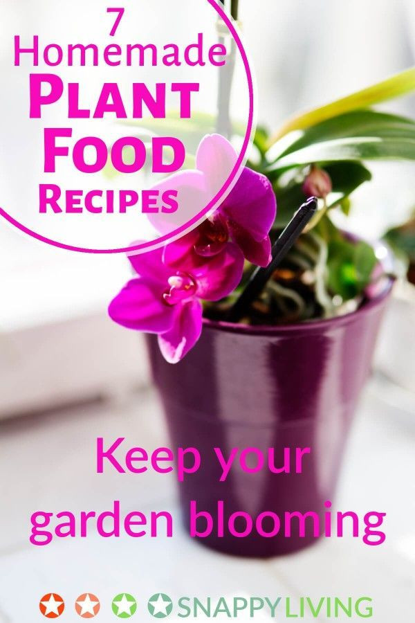 Best ideas about Flower Food DIY
. Save or Pin 25 best ideas about Homemade plant food on Pinterest Now.