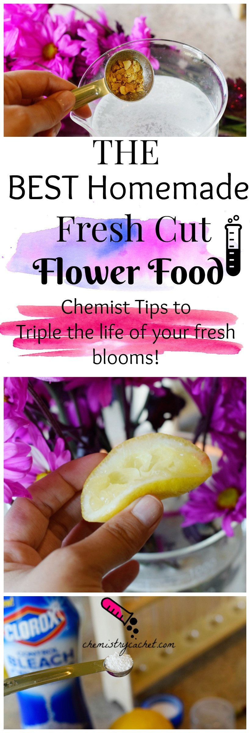 Best ideas about Flower Food DIY
. Save or Pin BEST Homemade Fresh Cut Flower Food Plus Tips on Why it Works Now.