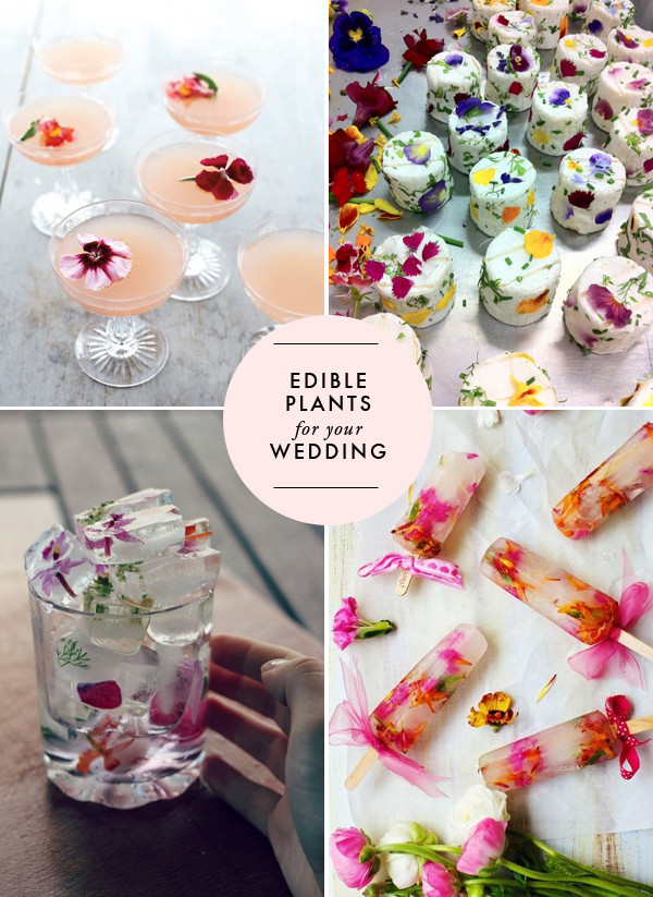 Best ideas about Flower Food DIY
. Save or Pin Edible flowers for your wedding Brooklyn Bride Modern Now.