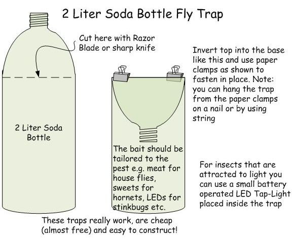 Best ideas about Fly Trap DIY
. Save or Pin 25 best ideas about Fruit Fly Traps on Pinterest Now.